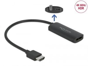 DeLock / Adapter HDMI-A male > Displayport female