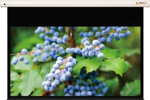 Funscreen Pro / Matt White Motor 223x360 cm Format 16:9 Premium Plus SA