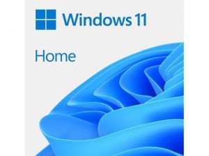 Microsoft / Windows 11 Pro 64bit ENG DVD