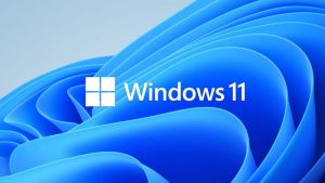 Microsoft / Windows 11 Pro 64bit HUN DVD