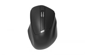 Platinet / Omega OM216 Wireless mouse Black