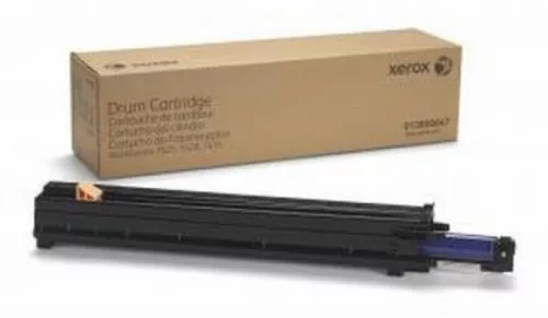 Xerox C8030 Drum