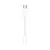Apple USB-C to 3.5 mm Headphone Jack Adapter White
