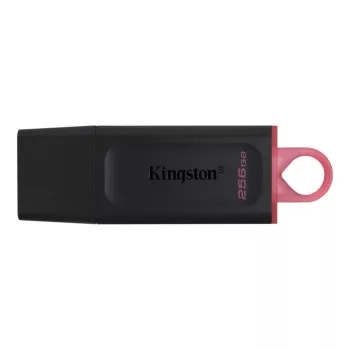 Kingston 256GB DataTraveler Exodia Black/Pink