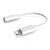 Platinet Lightning - AUX adapter White