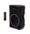 Thonet & Vander Stark Gen2 Party Speaker Black