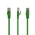 Gembird CAT6 U-UTP Patch Cable 0,5m Green
