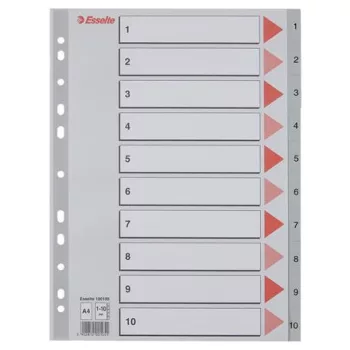 Regiszter, műanyag, A4, 1-10, ESSELTE,szürke