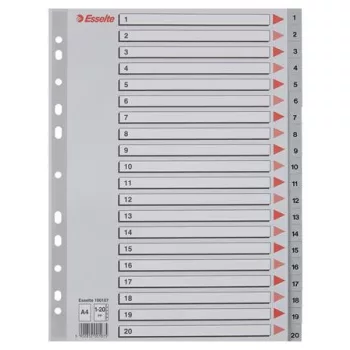 Regiszter, műanyag, A4, 1-20, ESSELTE, szürke