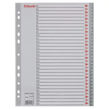 Regiszter, műanyag, A4, 1-31, ESSELTE, szürke
