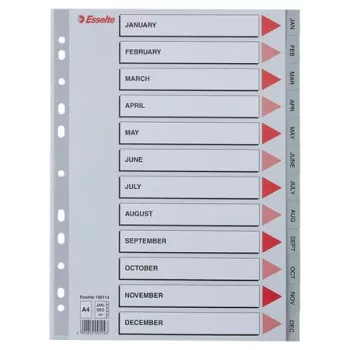 Regiszter, műanyag, A4, Jan-Dec, ESSELTE, szürke