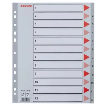 Regiszter, műanyag, A4 Maxi, 1-12, ESSELTE, szürke