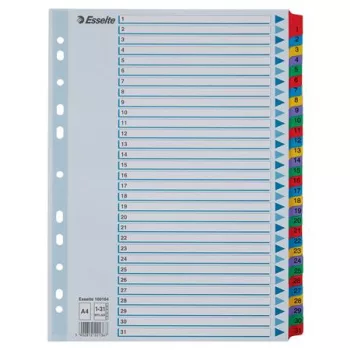 Regiszter, karton, A4, 1-31, ESSELTE "Mylar"