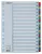 Regiszter, karton, A4, 1-31, ESSELTE "Mylar"