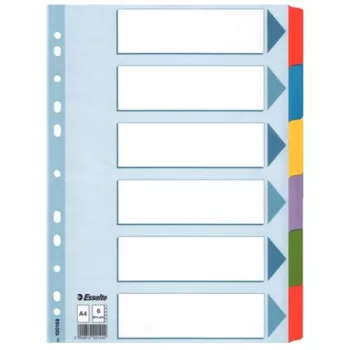   Regiszter, laminált karton, A4, 6 részes, ESSELTE "Mylar"