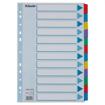   Regiszter, laminált karton, A4, 12 részes, ESSELTE "Mylar"