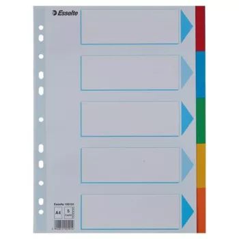   Regiszter, karton, A4, 5 részes, írható előlappal, ESSELTE "Standard", színes
