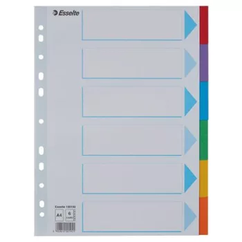   Regiszter, karton, A4, 6 részes, írható előlappal, ESSELTE "Standard", színes