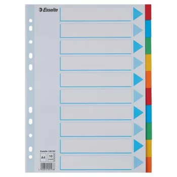   Regiszter, karton, A4, 10 részes, írható előlappal, ESSELTE "Standard", színes