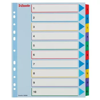   Regiszter, laminált karton, A4 Maxi, 1-10, újraírható, ESSELTE