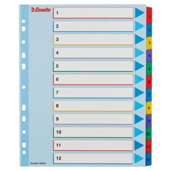   Regiszter, laminált karton, A4 Maxi, 1-12, újraírható, ESSELTE