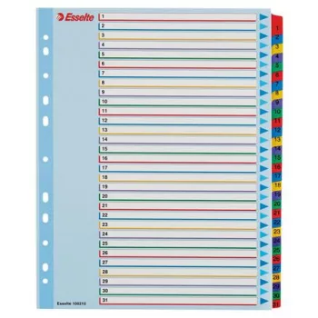   Regiszter, laminált karton, A4 Maxi, 1-31, újraírható, ESSELTE