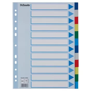 Regiszter, műanyag, A4, 12 részes, ESSELTE