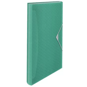   Harmonikamappa, A4, PP, 6 rekeszes, ESSELTE "Colour'Breeze", zöld