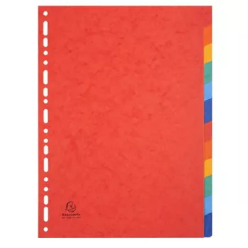 Regiszter, karton, A4, 12 részes, EXACOMPTA, színes