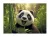 Irattartó tasak, A4 PP, patentos, 180 mikron, PANTA PLAST "Panda"