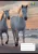 Füzet, tűzött, A5, vonalas, 32 lap, 3. osztály, COOL BY VICTORIA, "Horses", "12-32"
