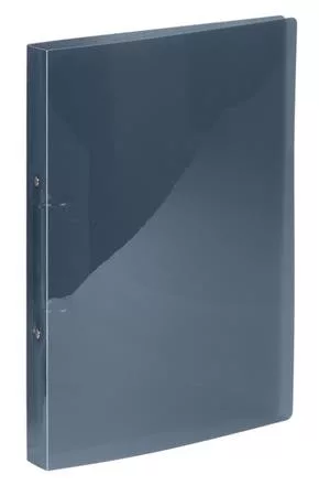 Gyűrűs könyv, 2 gyűrű, 25 mm, A4, PP, VIQUEL "Propyglass", füstszínű