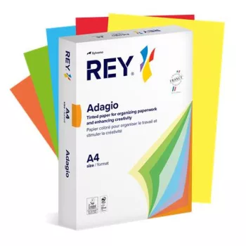   Másolópapír, színes, A4, 80 g, 5x100 lap, REY "Adagio", intenzív mix
