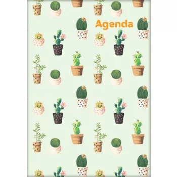  Naptár, tervező, A5, heti, DAYLINER, "Colors", Cactus