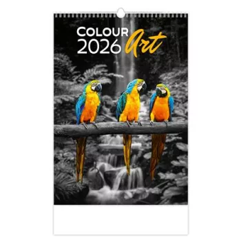 Naptár, fali, DAYLINER "Colour Art"