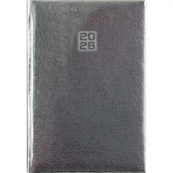   Naptár, tervező, A5, heti, DAYLINER, "Mirror", ezüst